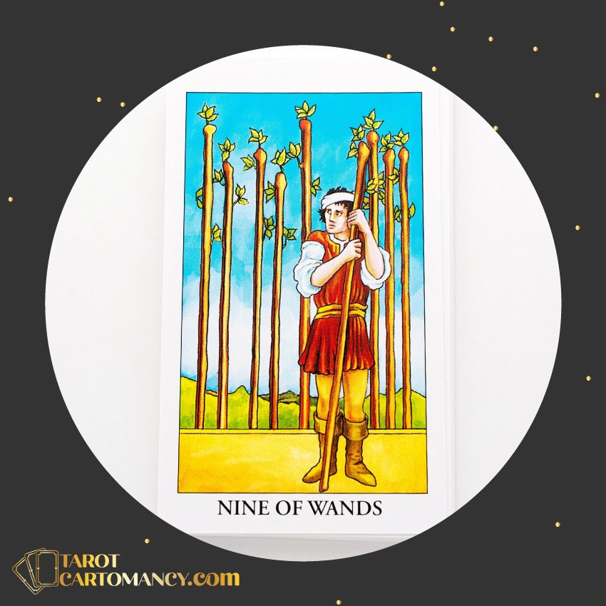 Nine of Wands as Love Advice Upright Tarot Card Meaning